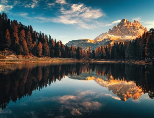 Lorem ipsum dolor sit amet 2
